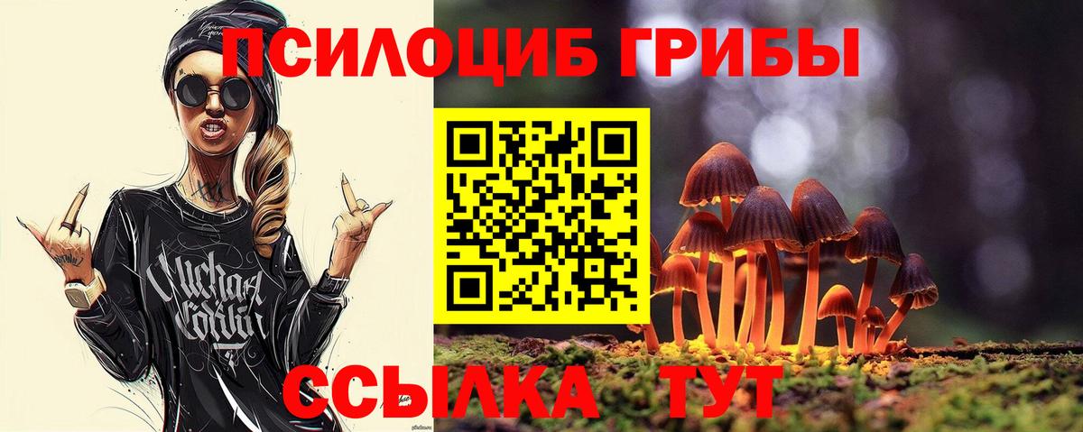 Новозыбков  Псилоцибиновые грибы Psilocybine cubensis  Вход с VPN 